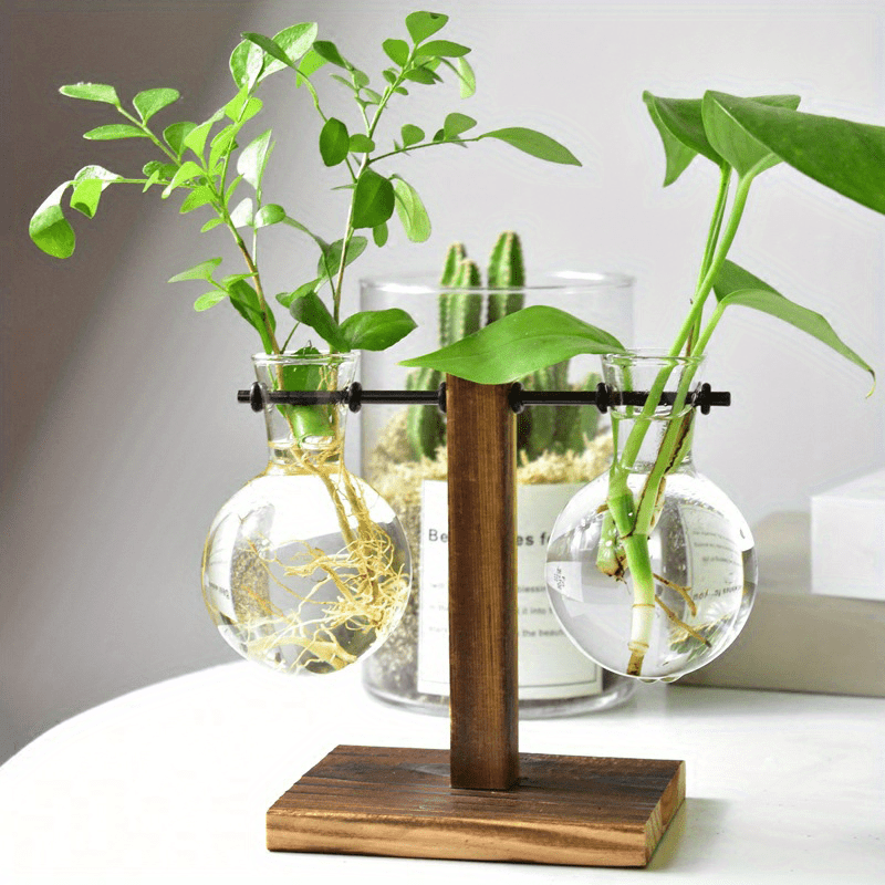Vase hydroponique en verre et bois – Design créatif pour décoration de table