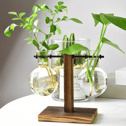 Vase hydroponique en verre et bois – Design créatif pour décoration de table