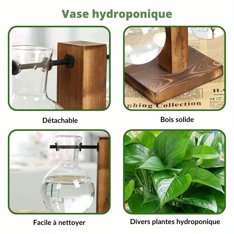 Vase hydroponique en verre et bois – Design créatif pour décoration de table