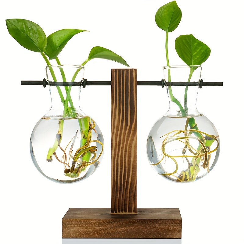 Vase hydroponique en verre et bois – Design créatif pour décoration de table